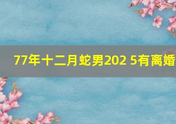 77年十二月蛇男202 5有离婚